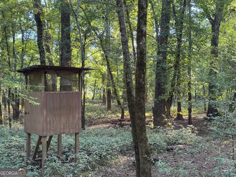 583 Treisch RD, Pineview, GA 31071