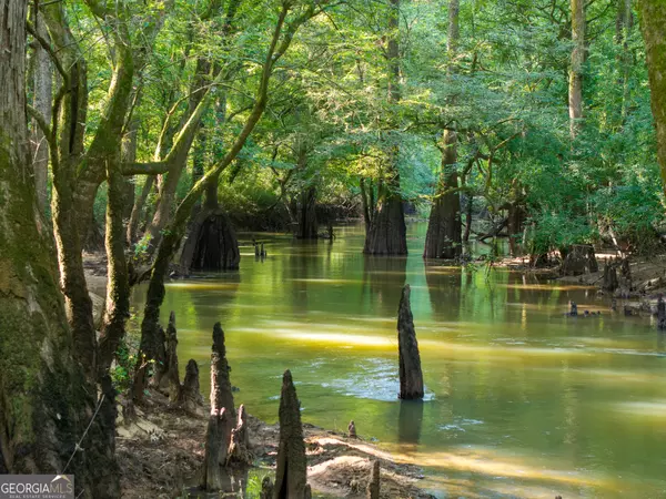 Pineview, GA 31071,583 Treisch RD