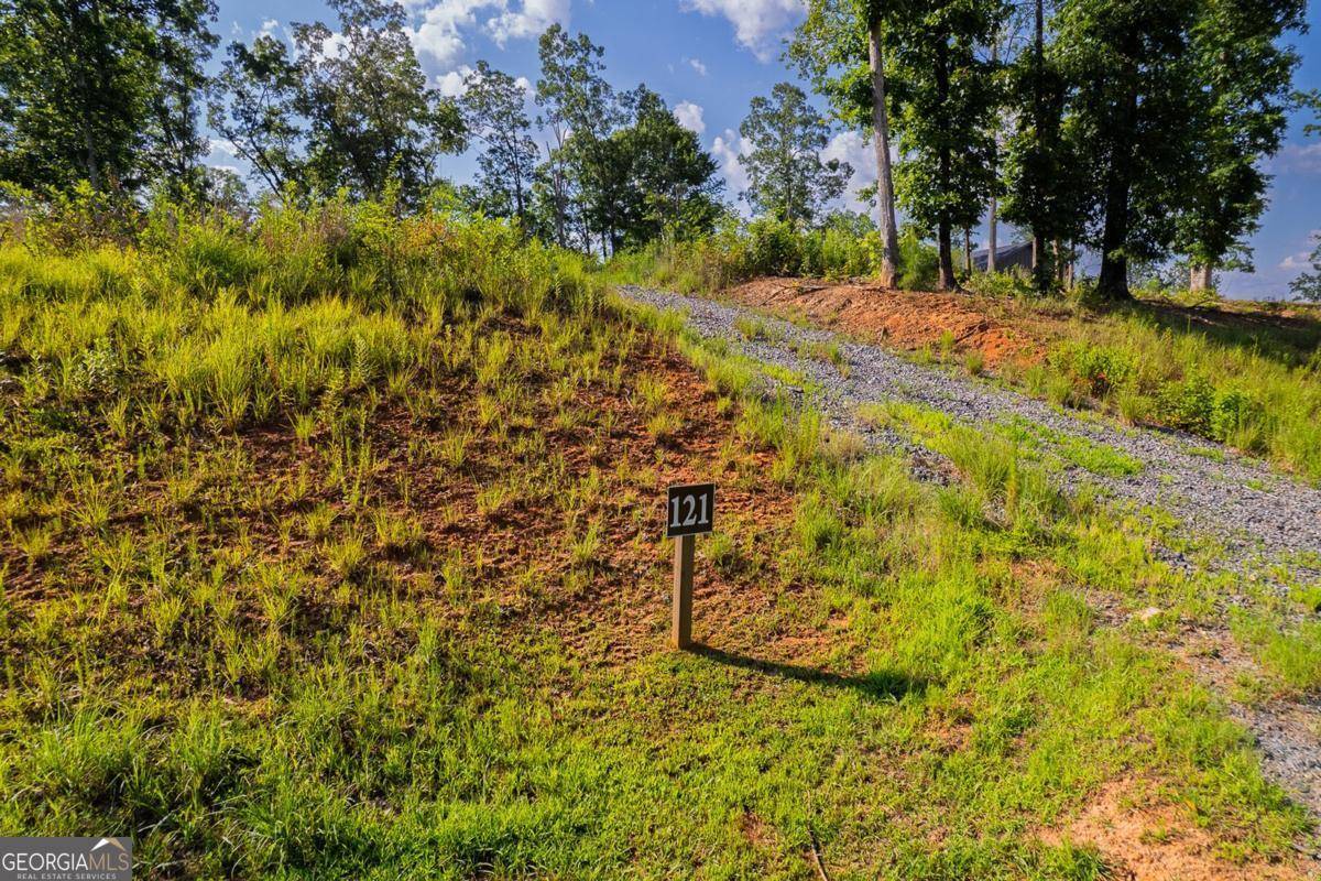 Ellijay, GA 30540,121 Jakes Landing DR #121