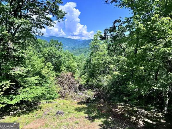 Clayton, GA 30525,54 Teaberry LN