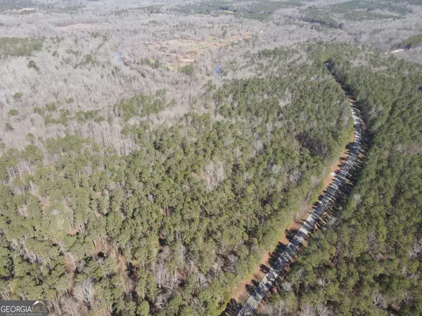 Covington, GA 30016,0 - TRACT 5 Rocky Plains RD