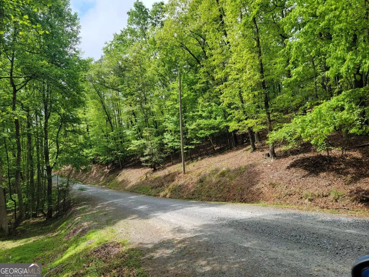 Ellijay, GA 30540,LT 563 Nexus DR