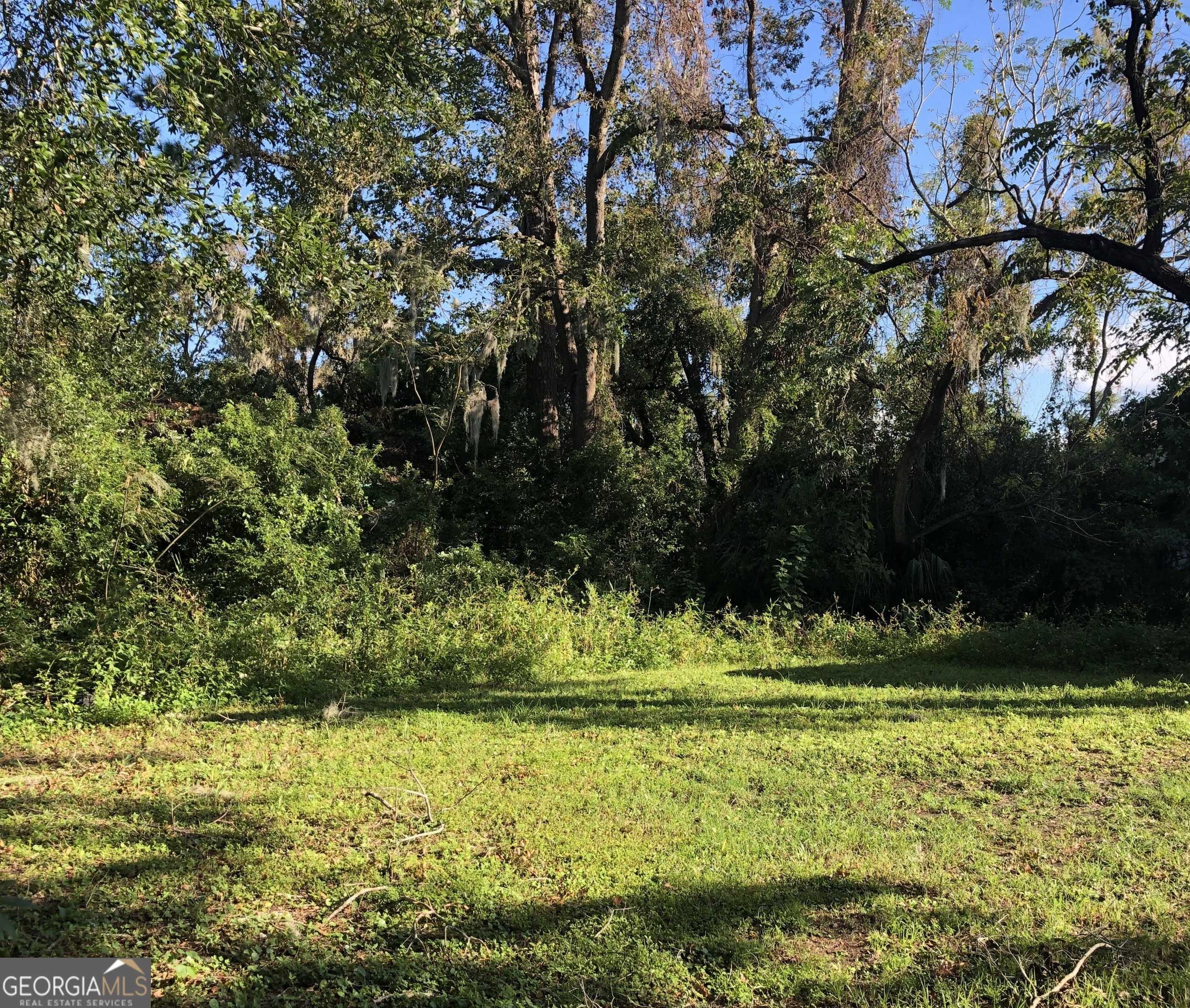 2908 Wolfe ST, Brunswick, GA 31520