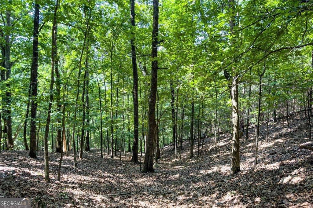 Waleska, GA 30183,154 Ponderosa LN