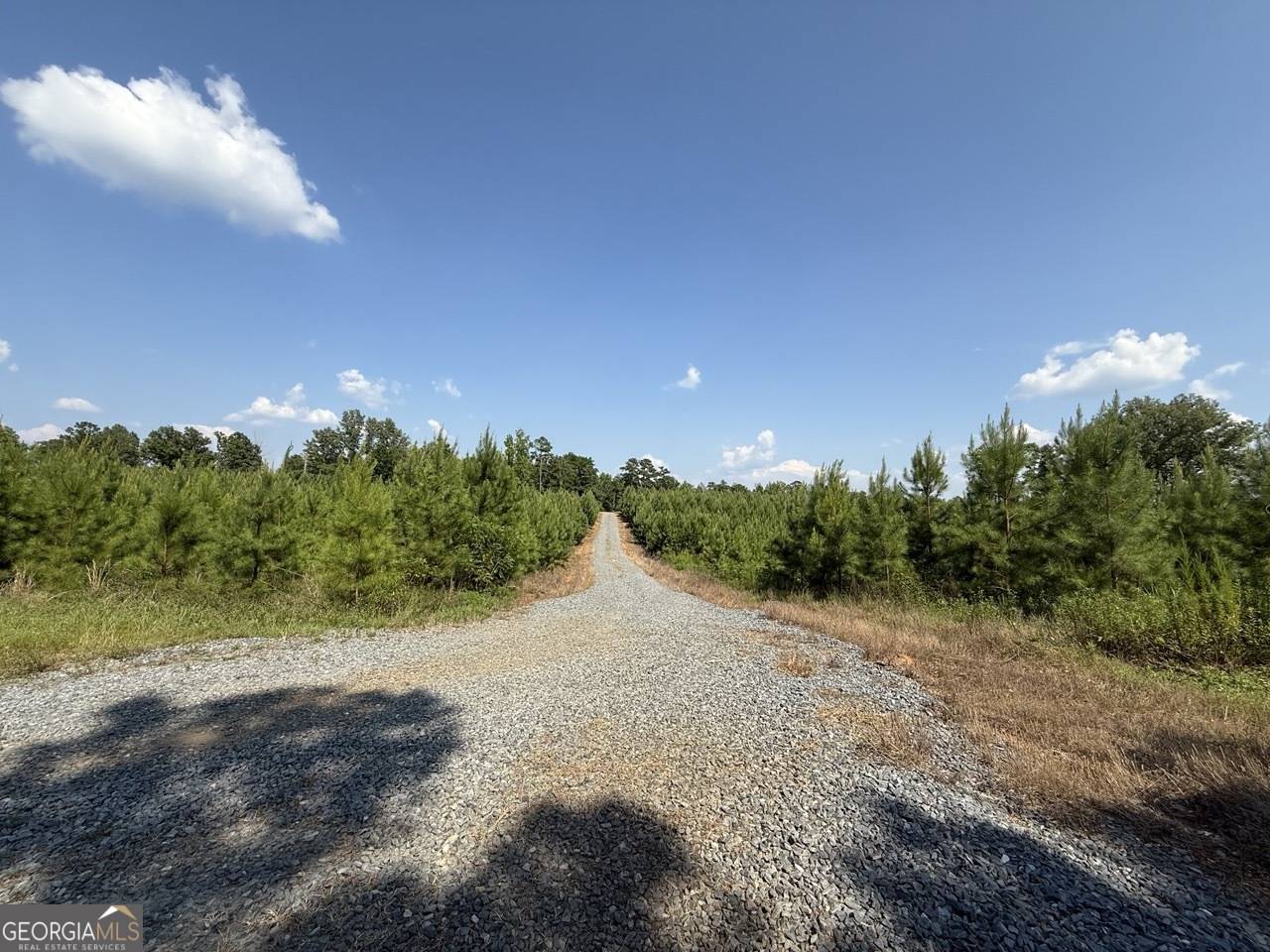 Lizella, GA 31052,9390 Hopewell