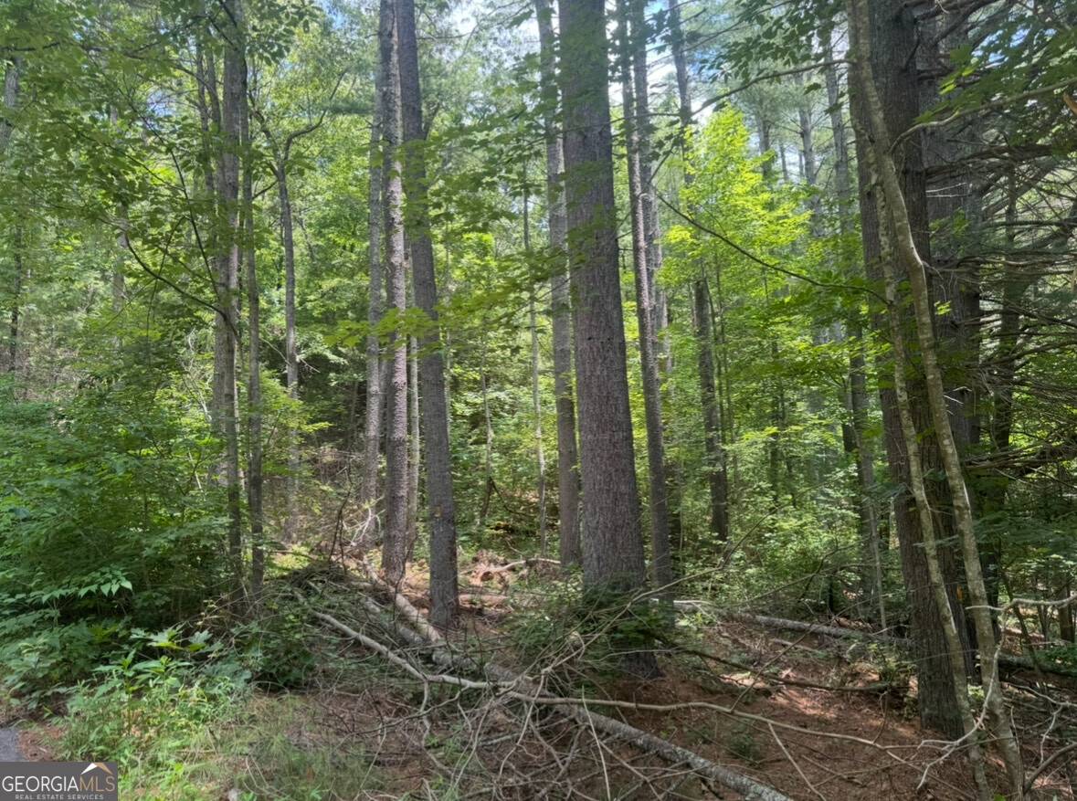 LOT 6 Baker Lane, Hiawassee, GA 30546