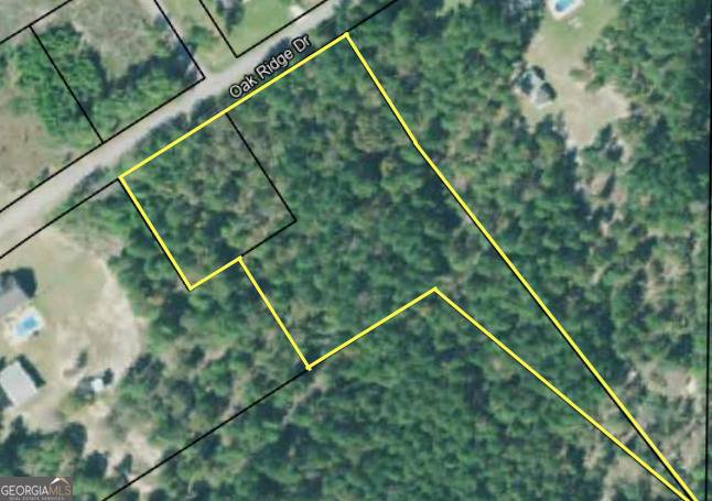 Butler, GA 31006,0 Oak Ridge DR