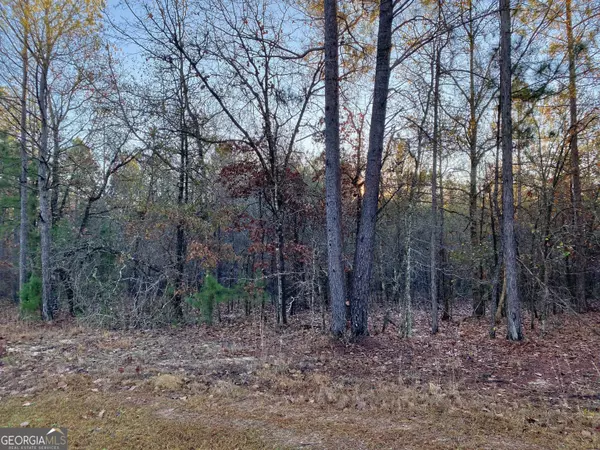 Butler, GA 31006,0 Oak Ridge DR