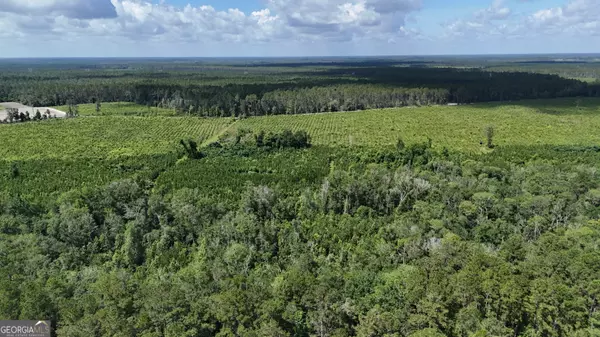 Odum, GA 31555,0 Bennett Mill Pond