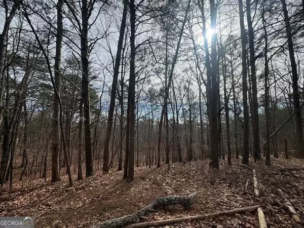 Waleska, GA 30183,117 Leopard CT