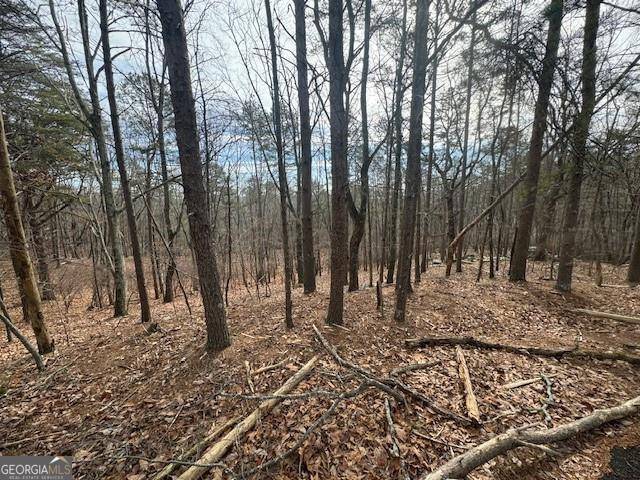 Waleska, GA 30183,117 Leopard CT