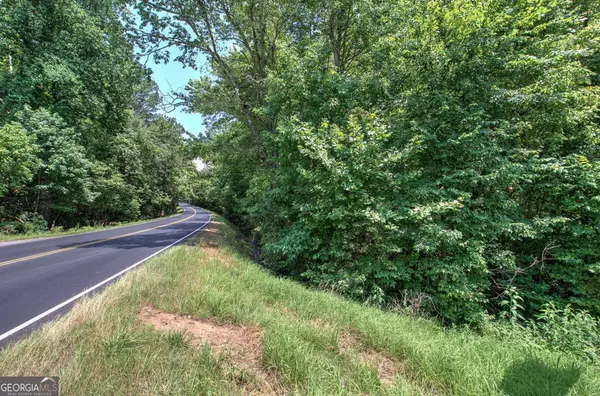 Rydal, GA 30171,228 Falling Springs RD NE