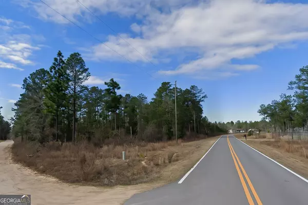 Roberta, GA 31078,0 Evans Mill CIR