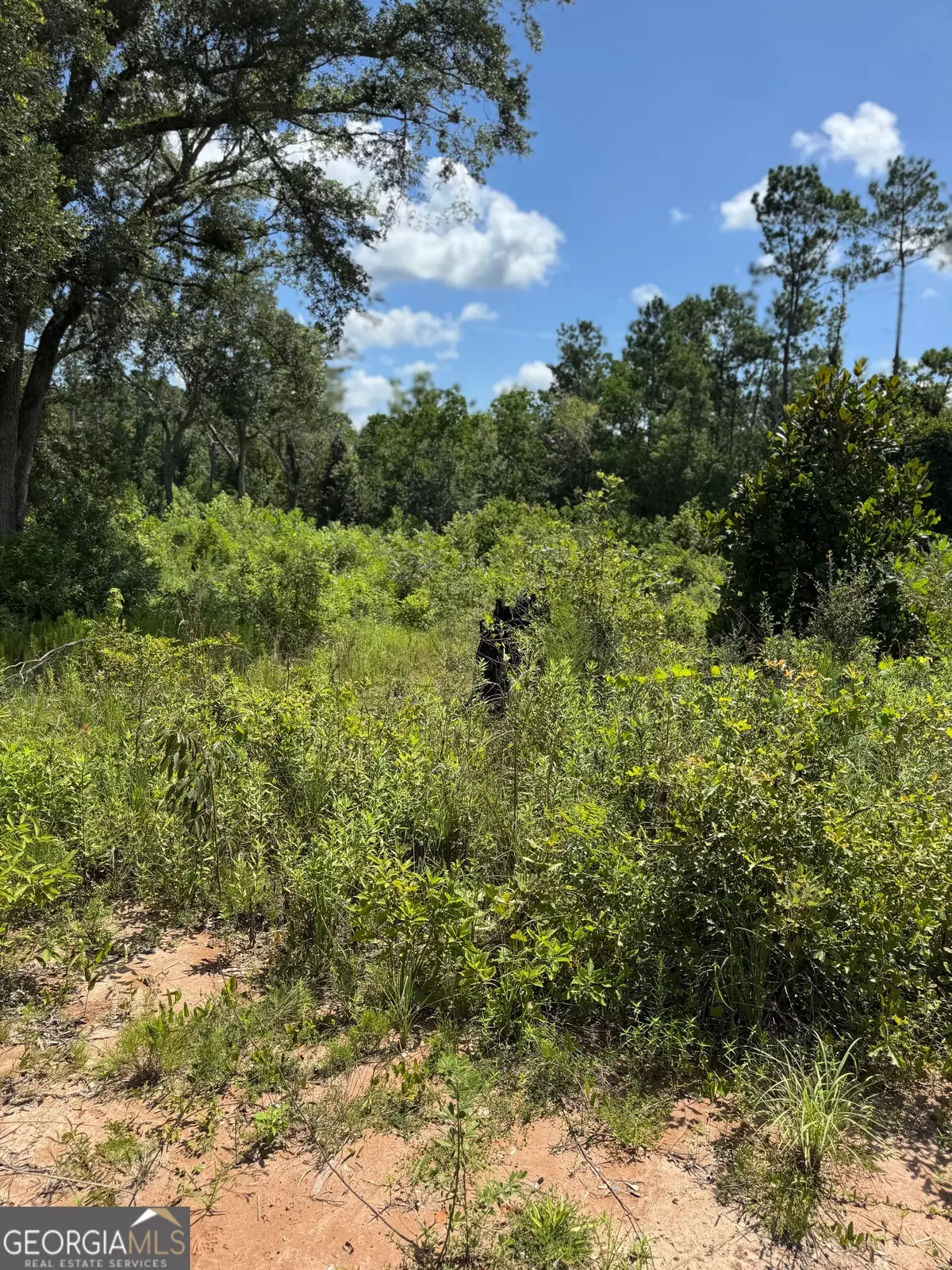 Valdosta, GA 31601,5125 Kinderlou Clyattville RD