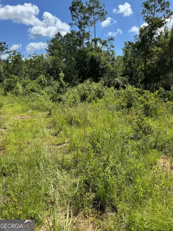Valdosta, GA 31601,5125 Kinderlou Clyattville RD
