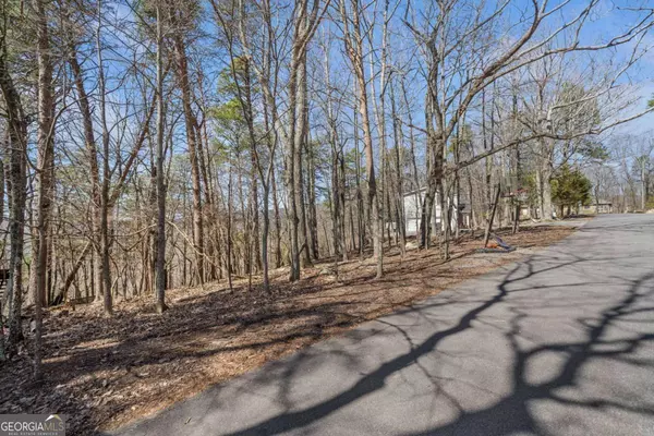 Waleska, GA 30183,166 Ponderosa LN