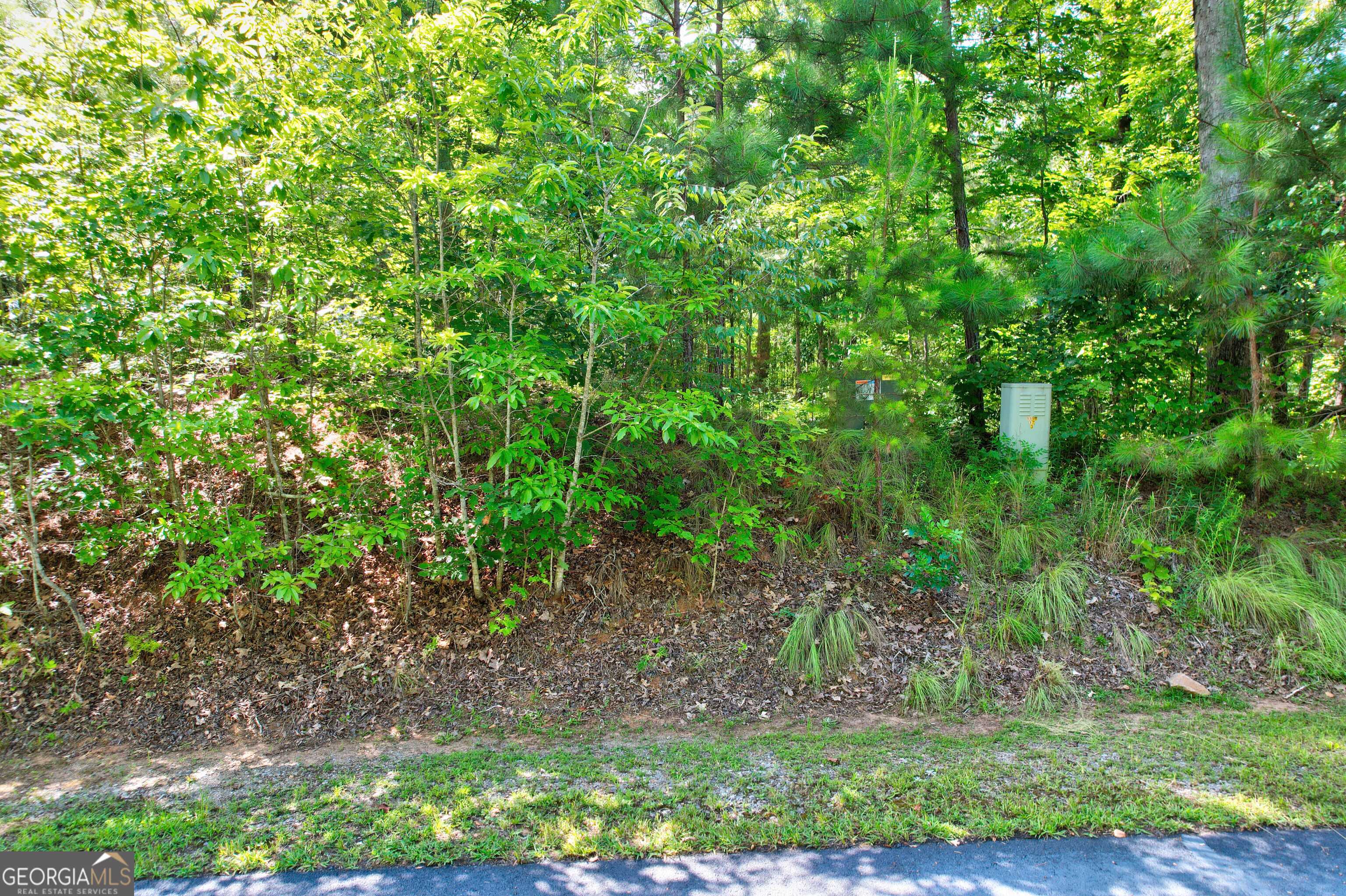 Ellijay, GA 30540,896 Harris Creek DR