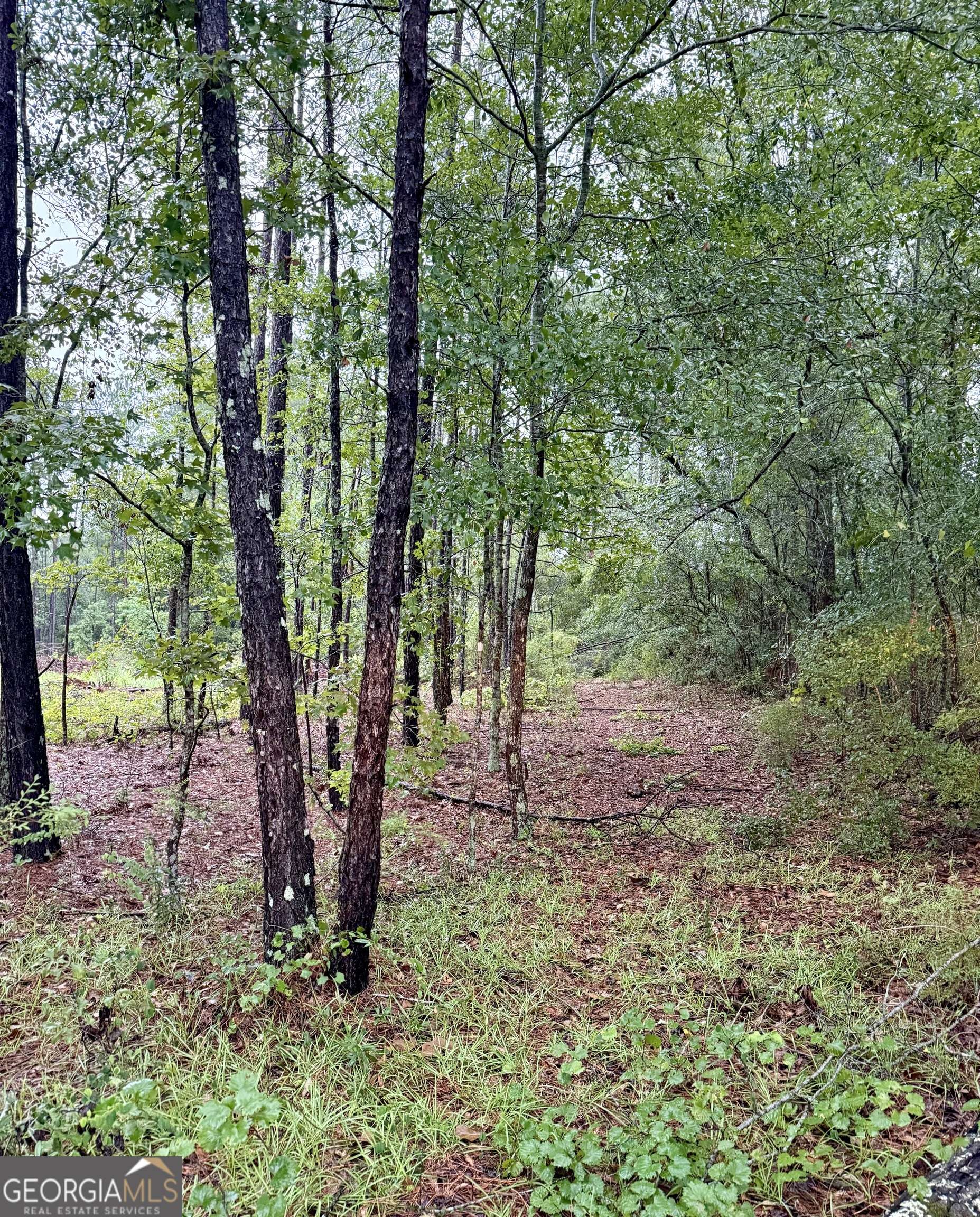Claxton, GA 30417,0 Ben Holland RD