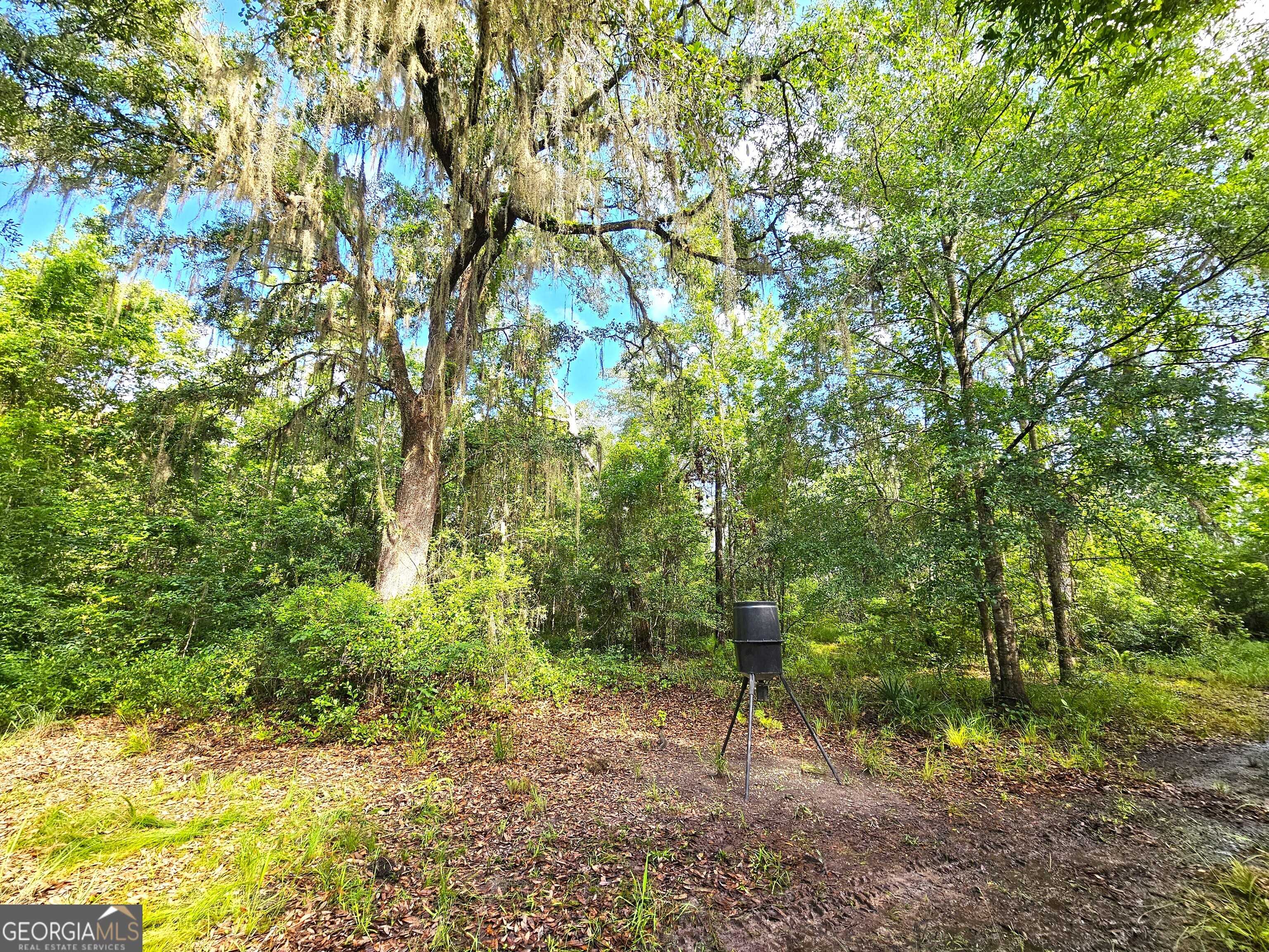 Kingsland, GA 31548,0 Hallow Point Trail