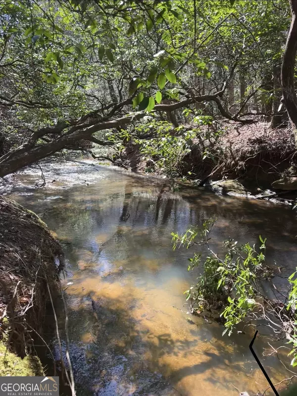 Cleveland, GA 30528,5A Creekside DR