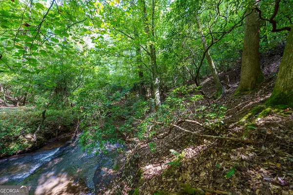 Cleveland, GA 30528,5A Creekside DR