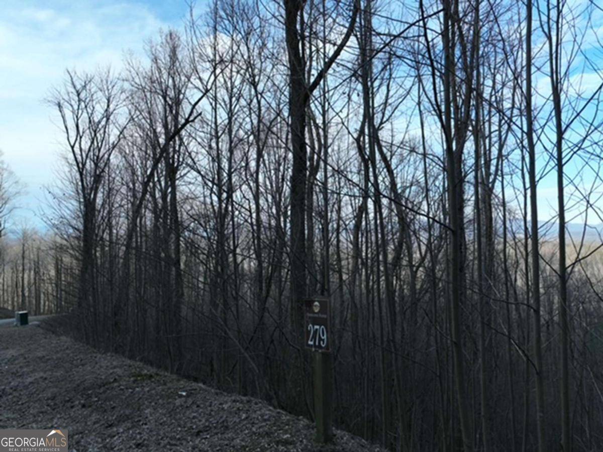 Ellijay, GA 30536,279 Andes RDG