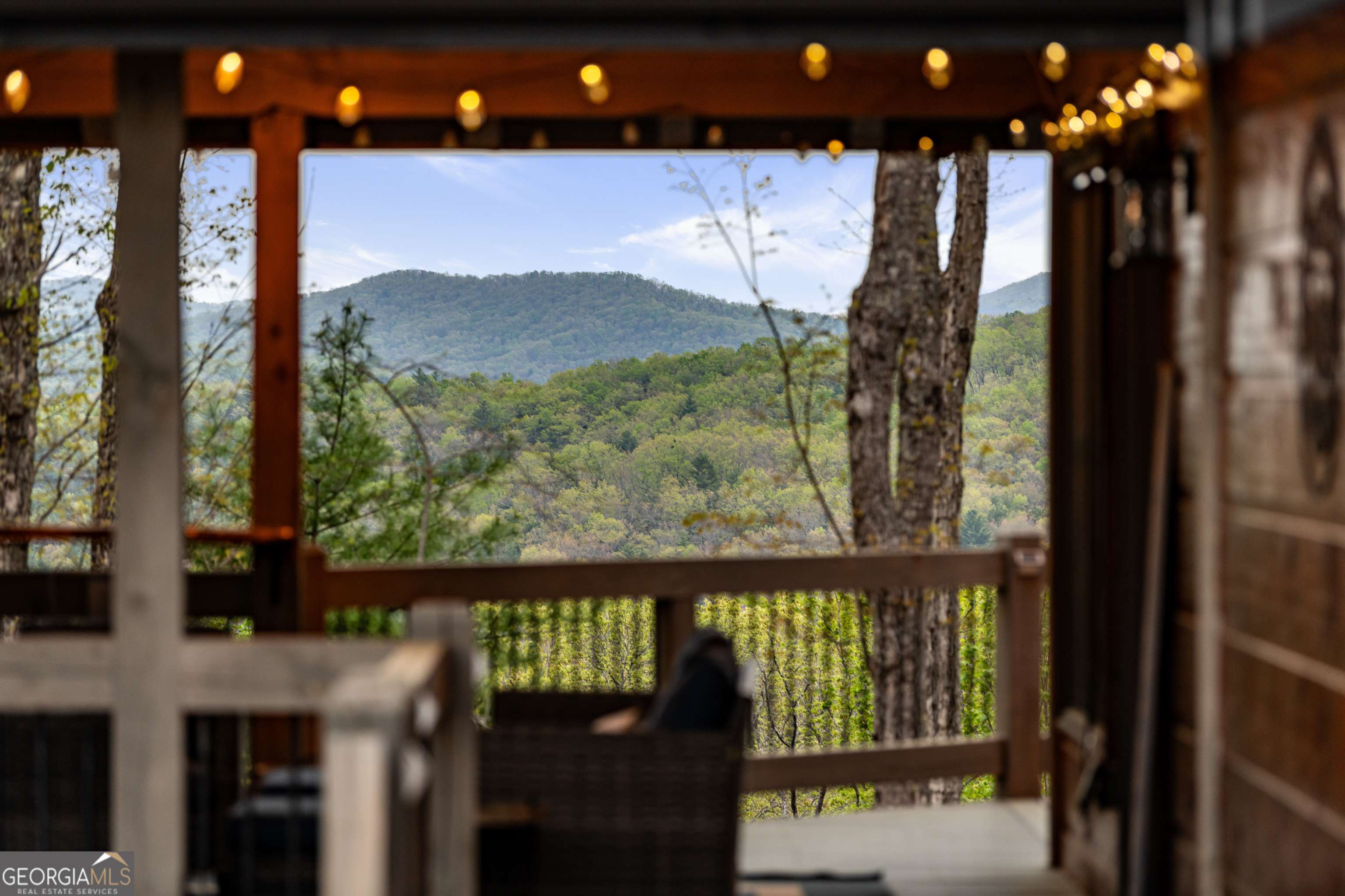 Cherry Log, GA 30522,66 Valley Overlook DR
