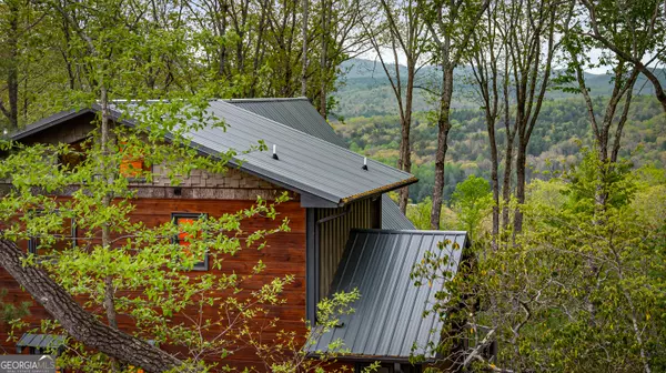 Cherry Log, GA 30522,66 Valley Overlook DR