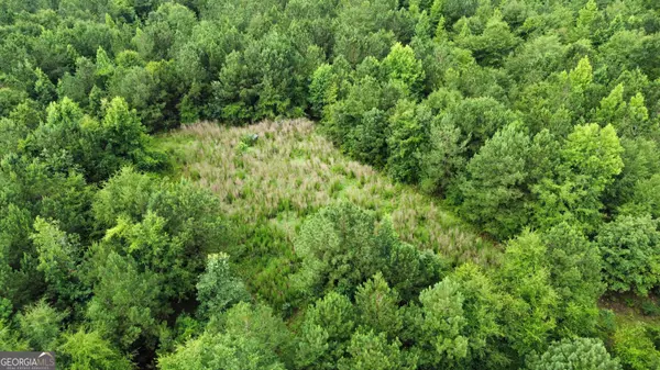 Ideal, GA 31041,0 State Route 240 RD