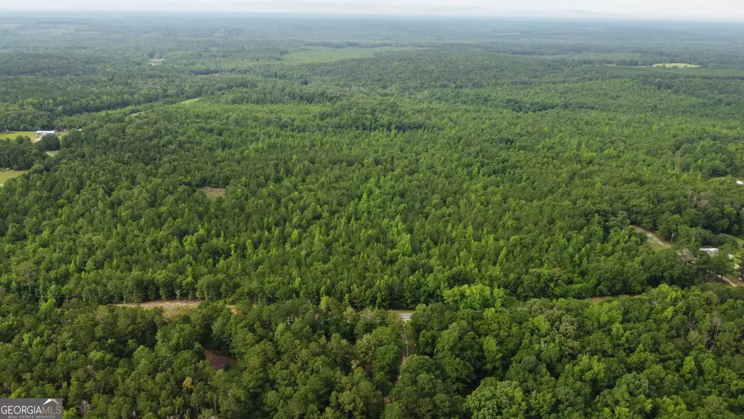 0 State Route 240 RD, Ideal, GA 31041