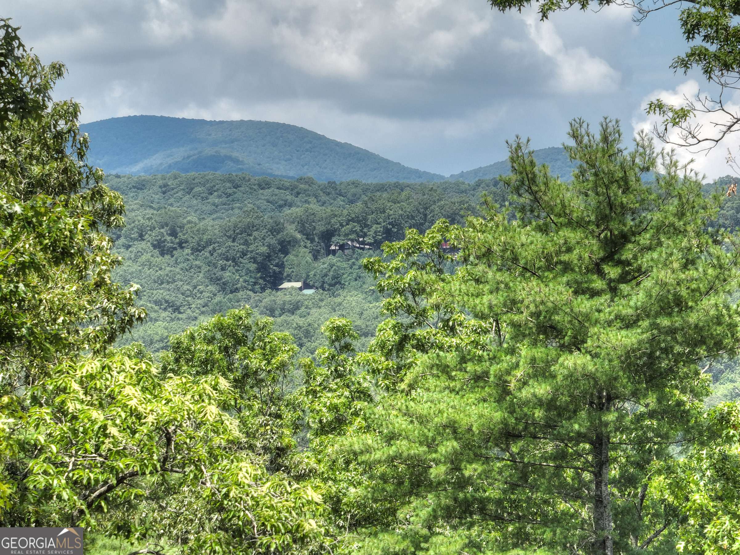Blue Ridge, GA 30513,28 Aska Forest TRL