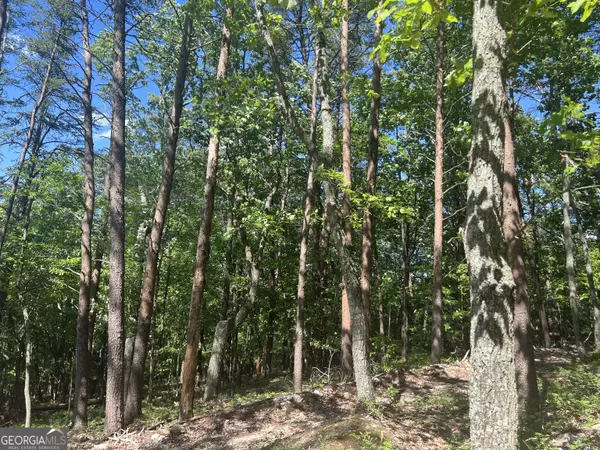 Rydal, GA 30171,0 Cherokee Hills DR
