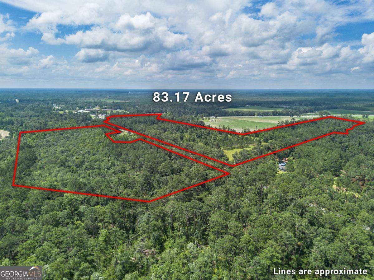 Waycross, GA 31501,0 Pineview RD