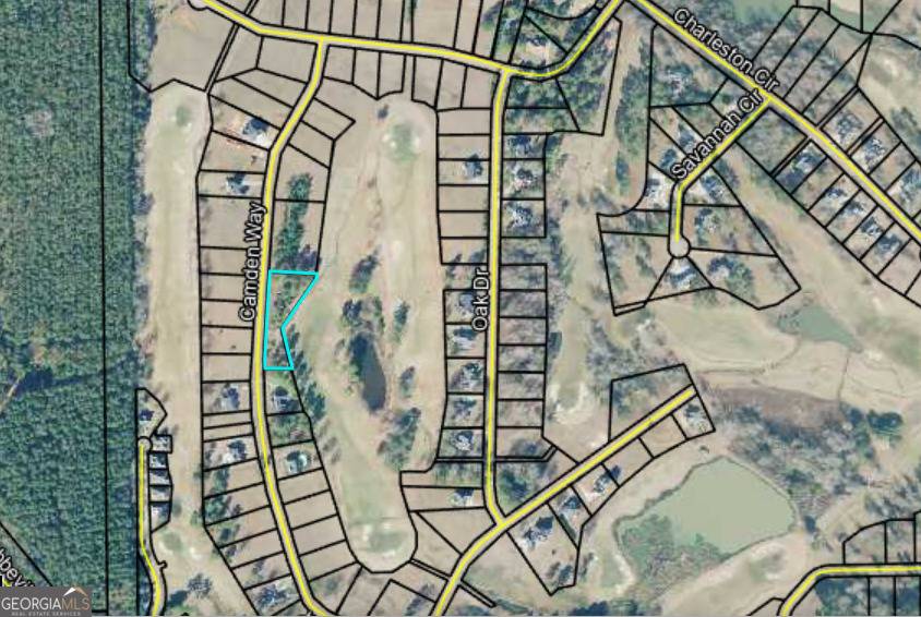 Hawkinsville, GA 31036,LOT 10&11 Camden WAY