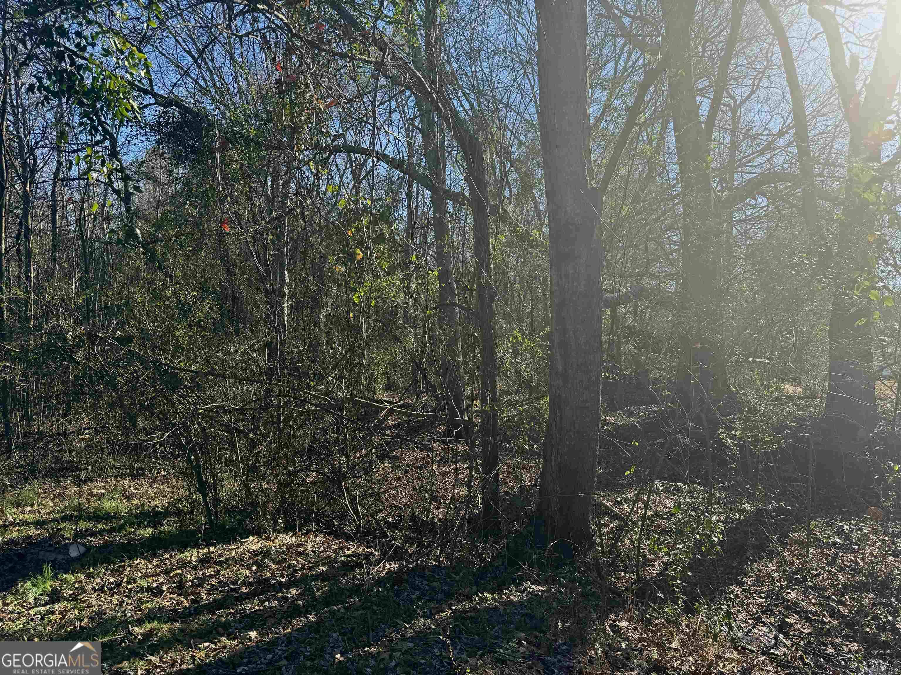 Nicholson, GA 30565,0 Mulberry ST
