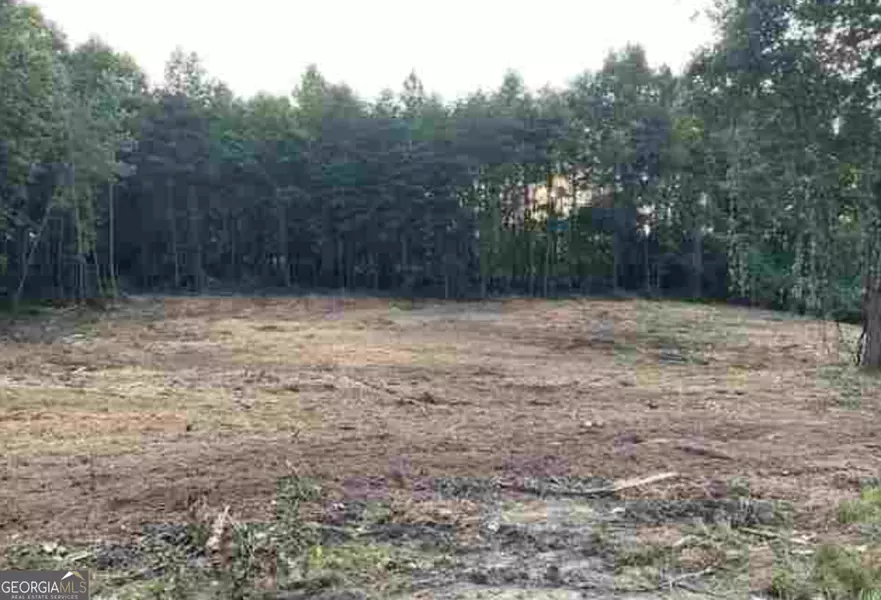 0 Asbestos RD, Cleveland, GA 30528