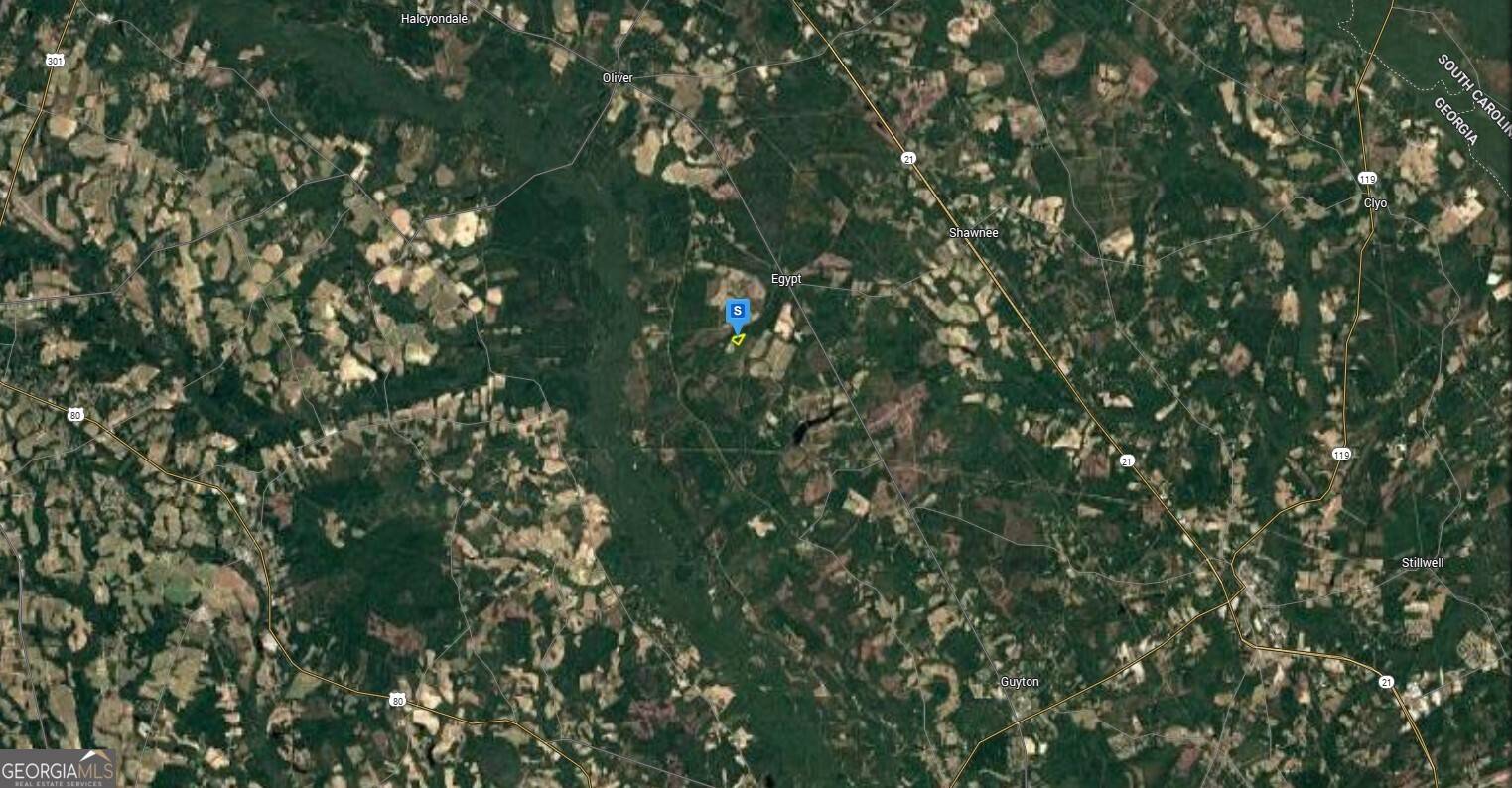 Guyton, GA 31312,800 Shearwood RD