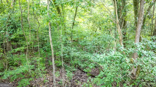 Newnan, GA 30263,0 Highway 34 W #5.03+/- AC