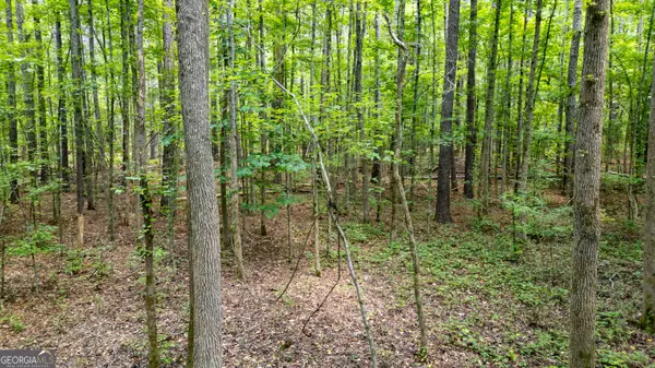 Newnan, GA 30263,0 Highway 34 W #5.03+/- AC
