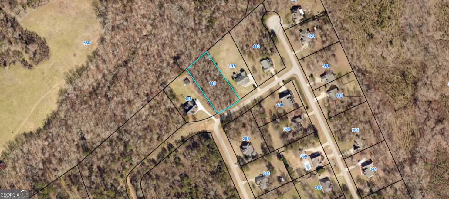 Milledgeville, GA 31061,115 Muscadine TRL