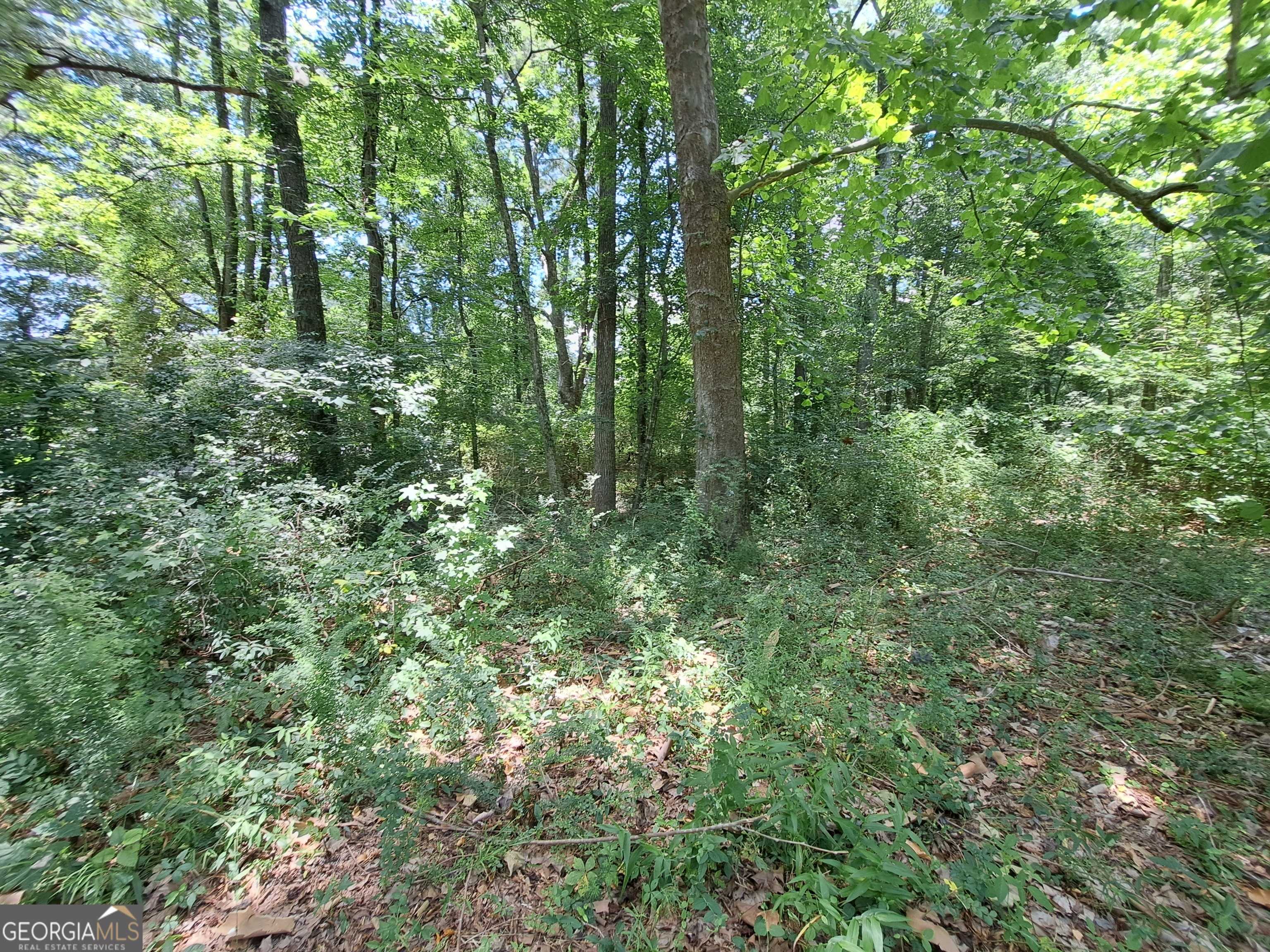 Greensboro, GA 30642,0 Pool RD