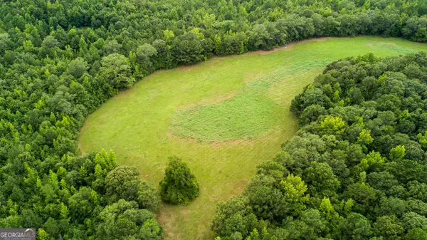 Pine Mountain, GA 31822,0 butts mill RD
