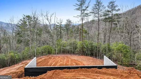 Hayesville, NC 28904,LOT 17 Peaks DR