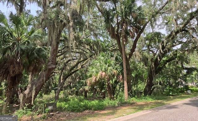 919 Wagner LN, St. Marys, GA 31558