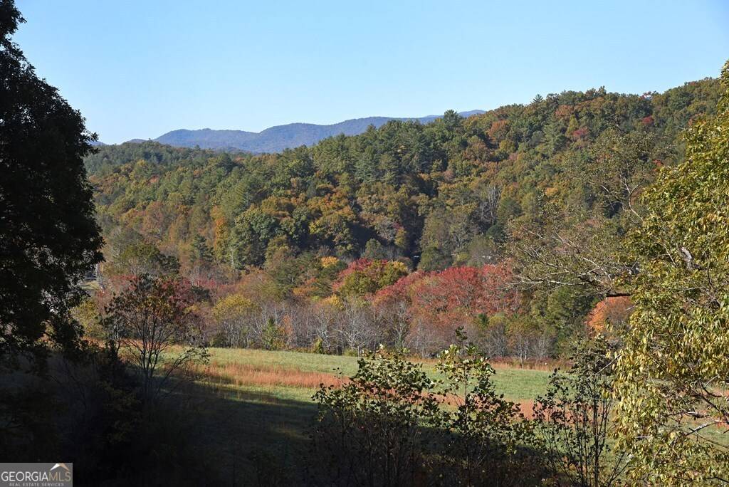 Blue Ridge, GA 30513,160 Mountain Field DR
