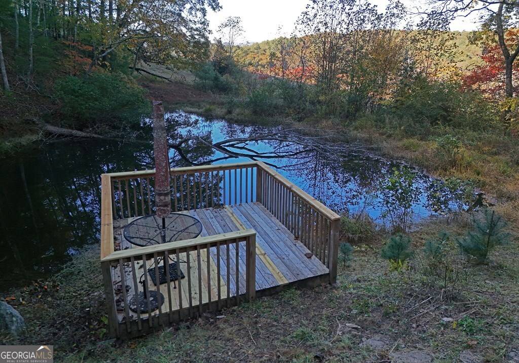 Blue Ridge, GA 30513,160 Mountain Field DR