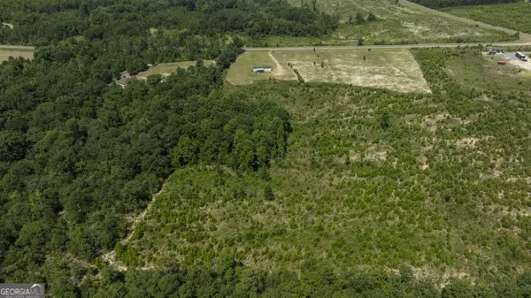 Buena Vista, GA 31803,97 Mill Pond RD