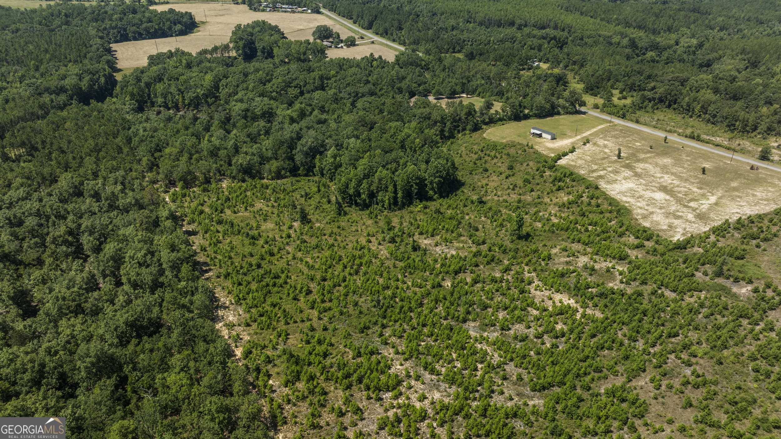 Buena Vista, GA 31803,97 Mill Pond RD