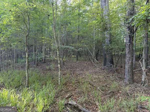 Greensboro, GA 30642,2260 Cunningham RD