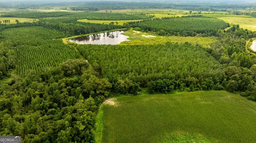 Cobbtown, GA 30420,0 Canoochee RD